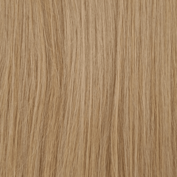 Detailansicht Haarstruktur – C&K Tape-In Extensions glatt #20 Light Ash Blonde Echthaar